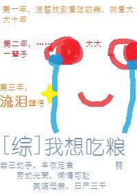 兰花又已开养兰视频