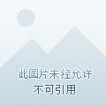 神仙都救不了你