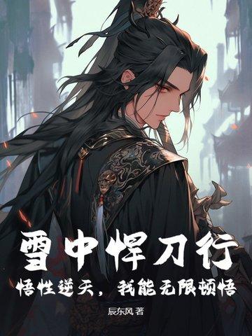 雪中悍刀行的功法
